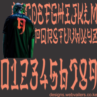 MANCHESTER CITY ASIA TOUR 23/24 SEASON TTF FONT DOWNLOAD